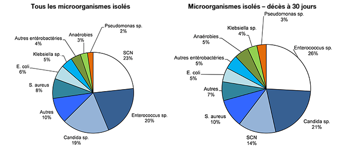 Figure 5 – Répartition des catégories de microorganismes isolés, pour tous les cas (N = 176) et pour les cas décédés à 30 jours (N = 58), Québec, 2018-2019 (%)
