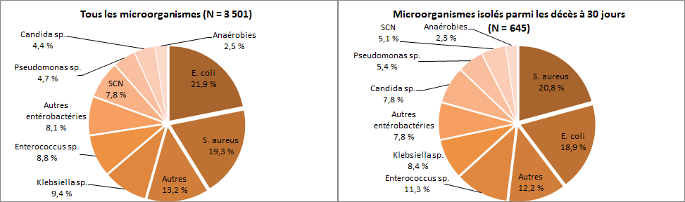Figure 8 – Répartition des catégories de microorganismes isolés, pour tous les cas et pour les cas décédés à 30 jours, Québec, 2015-2016 (%)