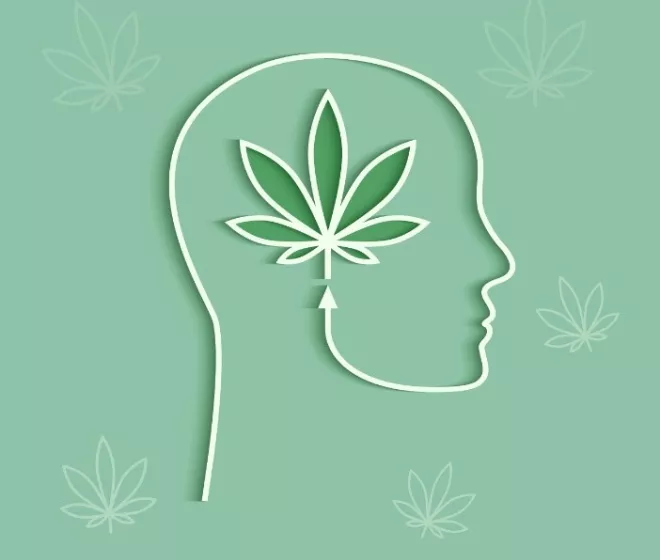 Recrutement pour une étude sur la consommation de cannabis pour des raisons de santé
